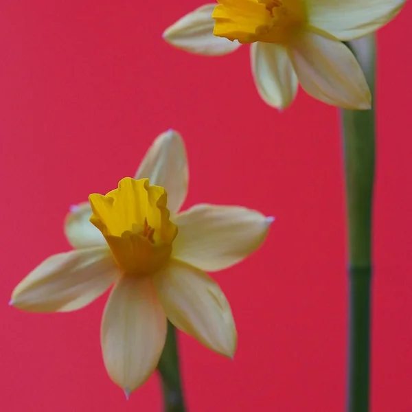 问鼎娱乐百家乐游戏